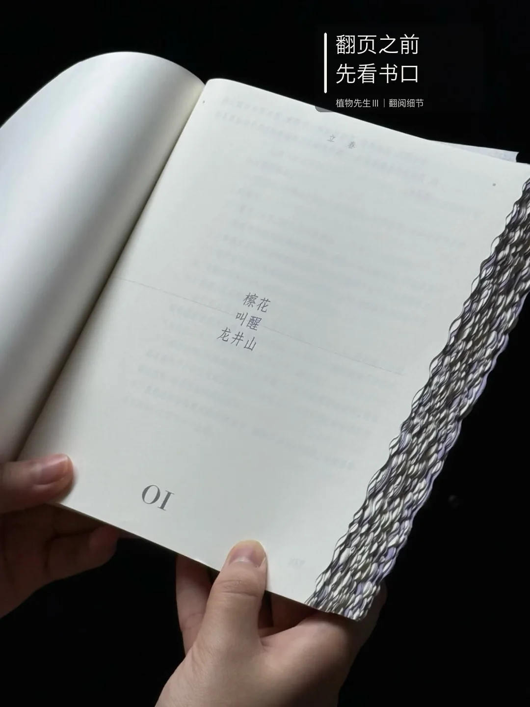 纸上花影，书中四季 · 图 5