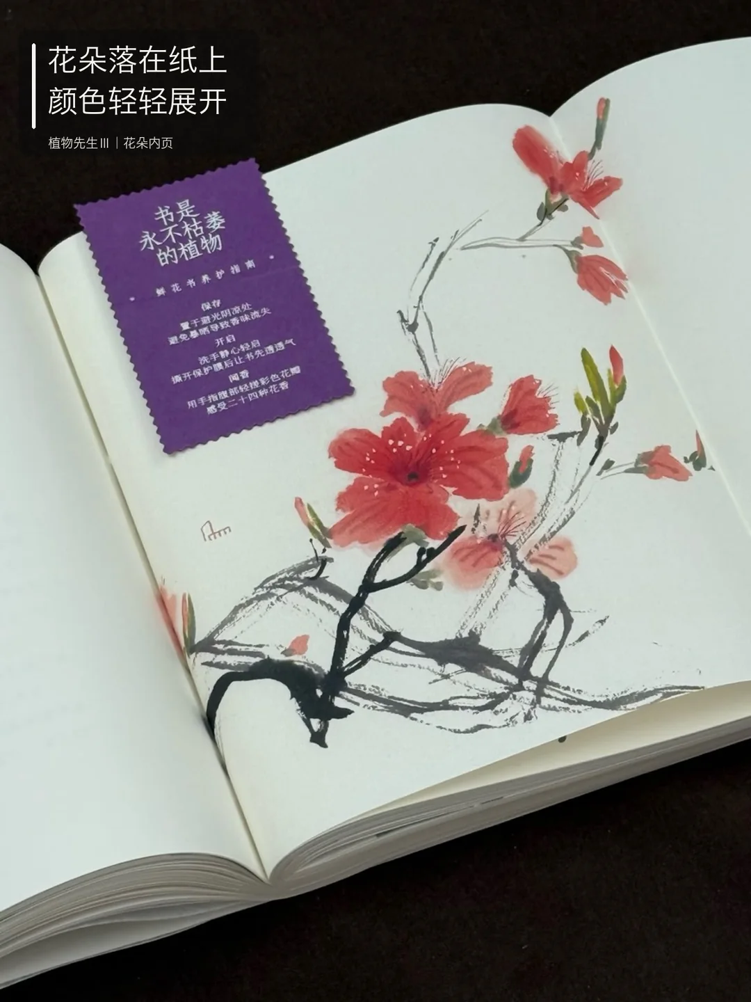 纸上花影，书中四季 · 图 4